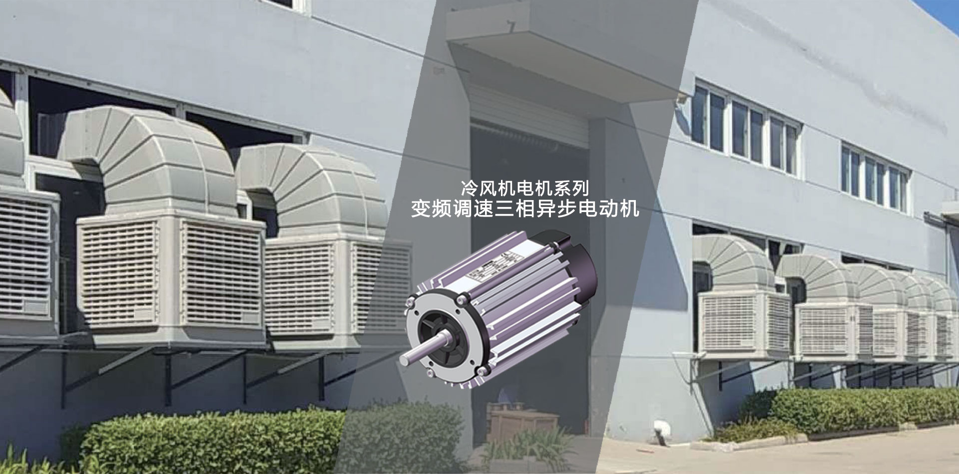 國(guó)內(nèi)首位EV行業(yè)